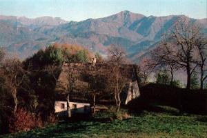 Masore