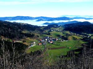 panorama - Ledine