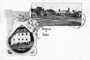Dole