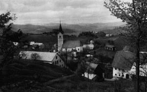 Zavratec